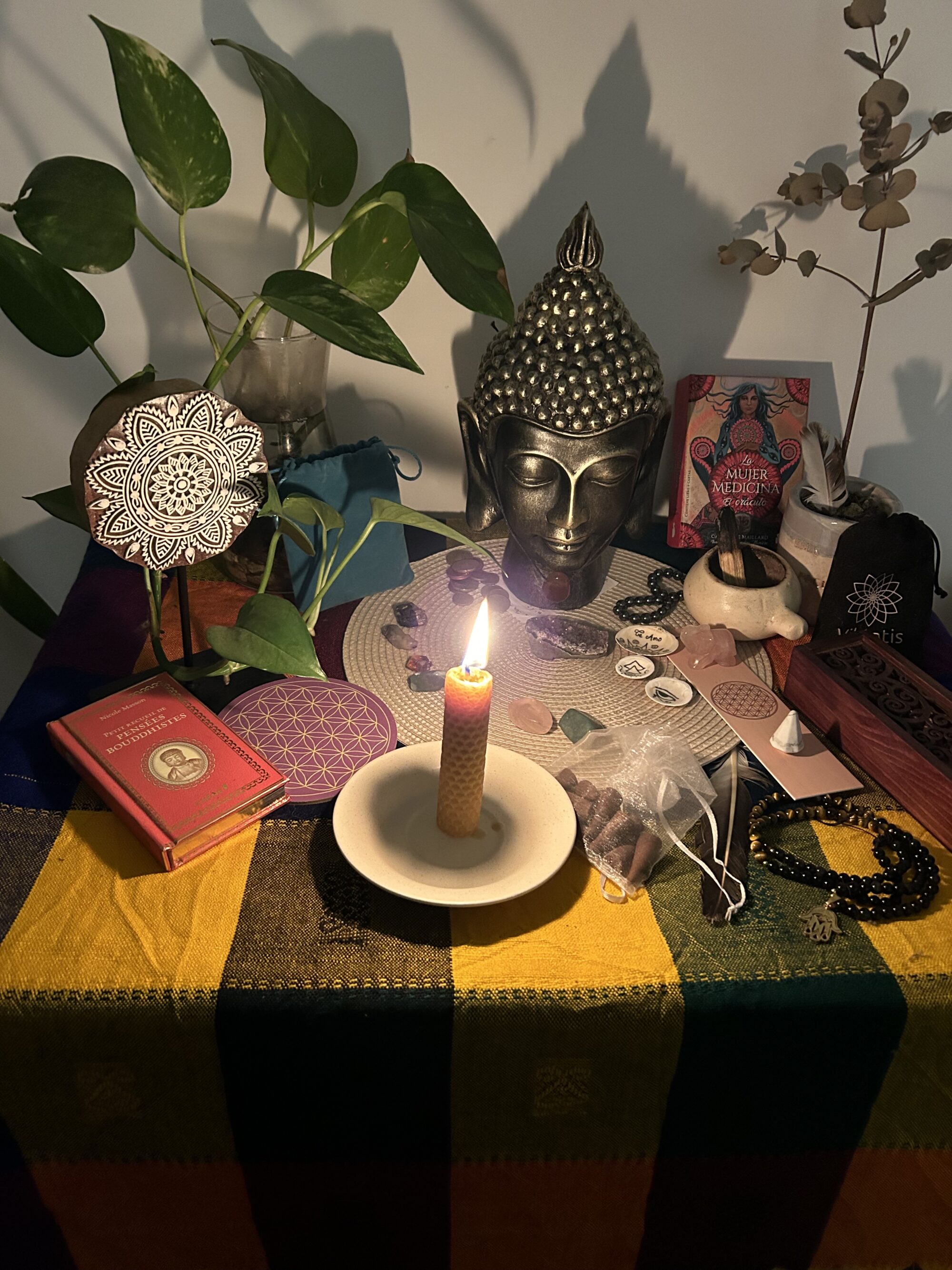 el llamado del reiki