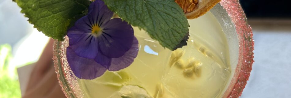 como-ayurveda-llego-a-mi-vida